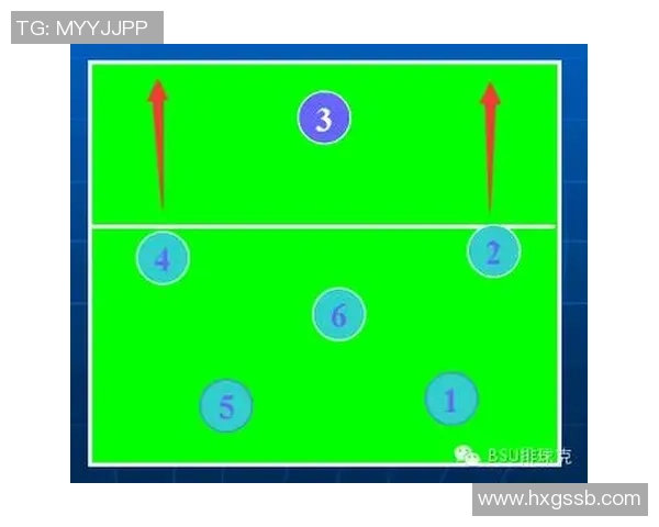 排球战术:深圳排球队的运营体系 排球战术:深圳排球队的运营体系