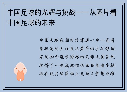 中国足球的光辉与挑战——从图片看中国足球的未来