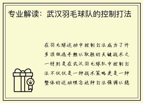 专业解读：武汉羽毛球队的控制打法